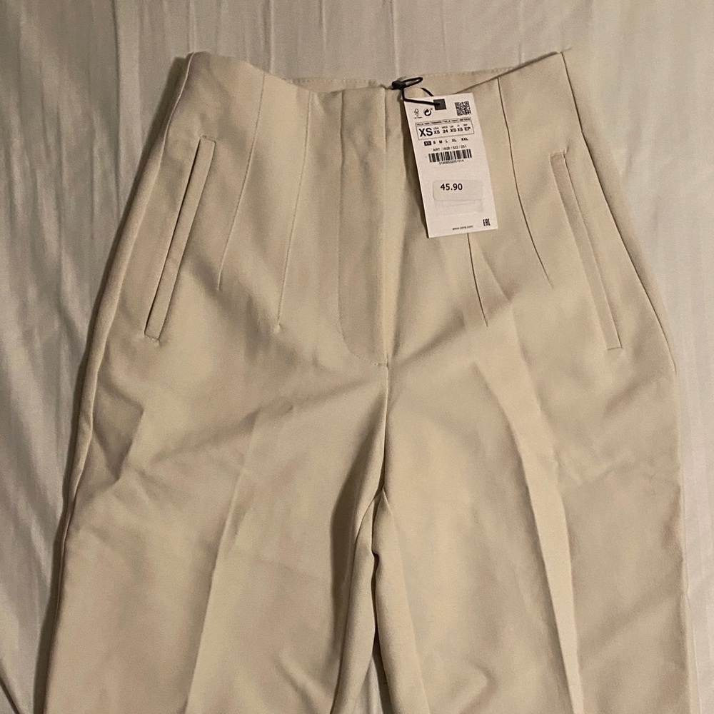 Zara Pleated High-Waisted Trousers